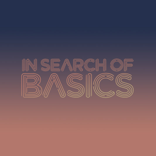 in search of BASICS workshop